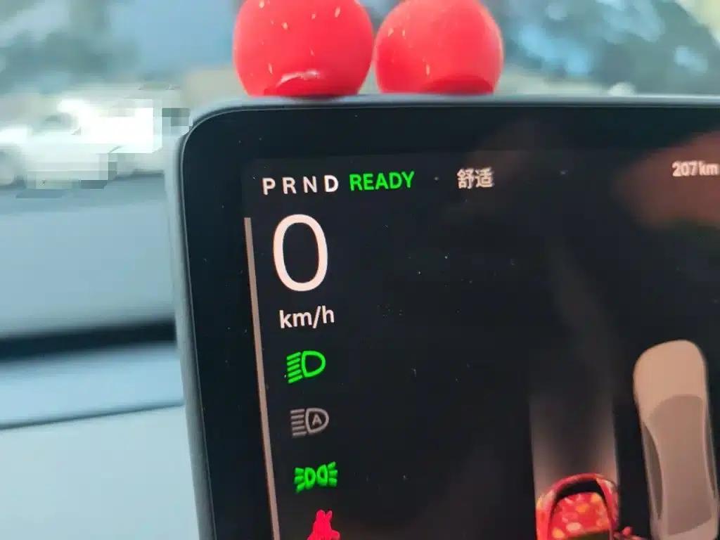 Model Y 2023 Long Range All-Wheel Drive — миниатюра 8