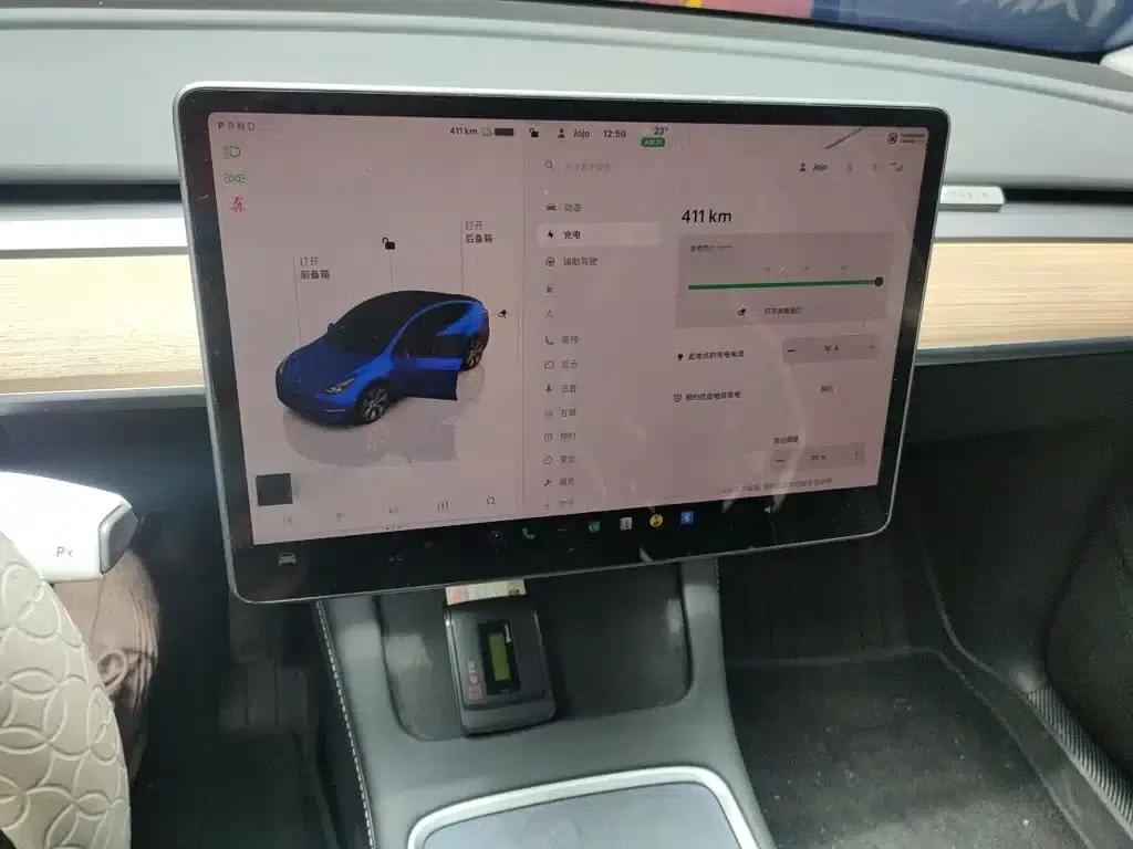 Model Y 2022 Rear-Wheel Drive — миниатюра 6