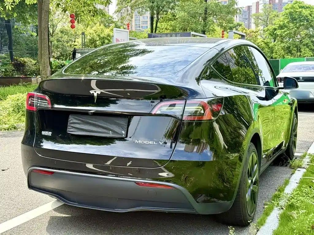 Model Y 2024 Rear-Wheel Drive — миниатюра 7