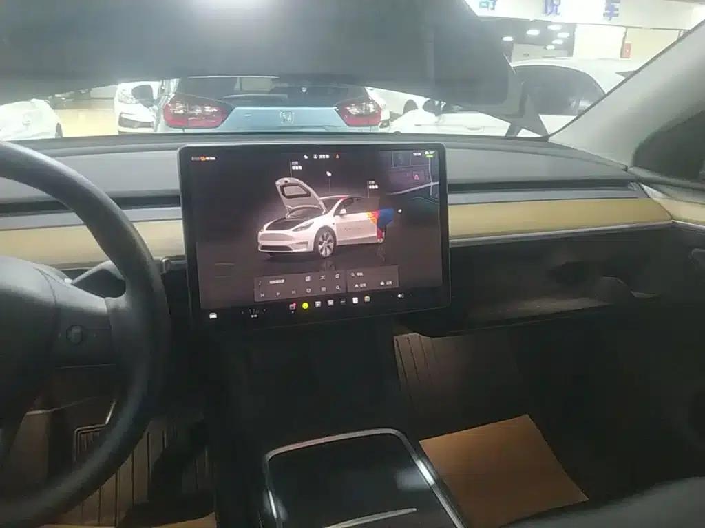 Model Y 2022 Rear-Wheel Drive — миниатюра 13