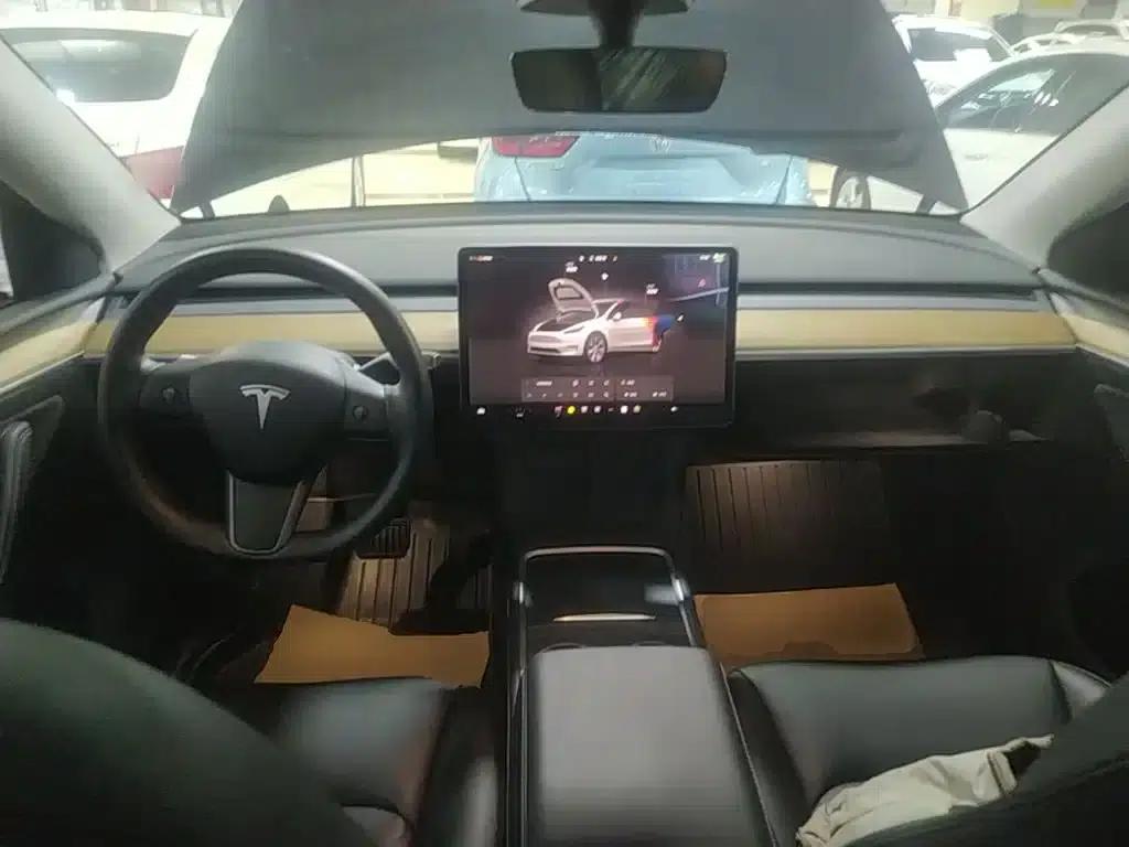 Model Y 2022 Rear-Wheel Drive — миниатюра 10