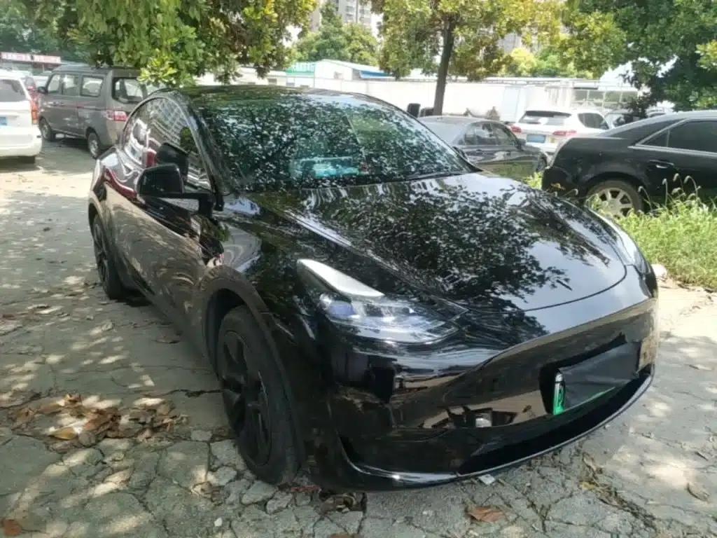 Model Y 2023 Rear-Wheel Drive — миниатюра 4