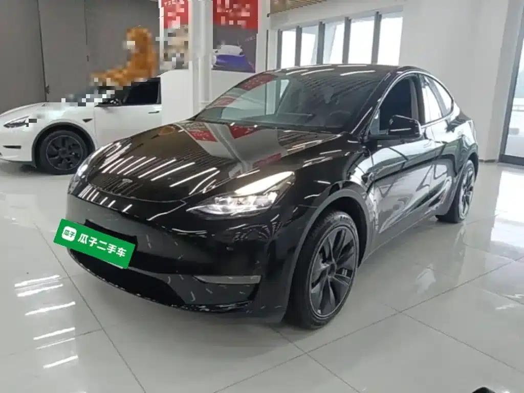 Model Y 2022 Long Range All-Wheel Drive — миниатюра 1