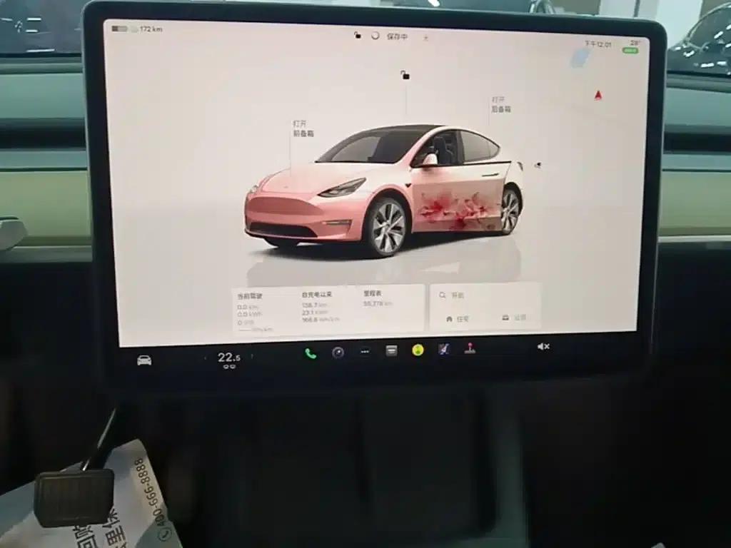 Model Y 2022 Rear-Wheel Drive — миниатюра 13