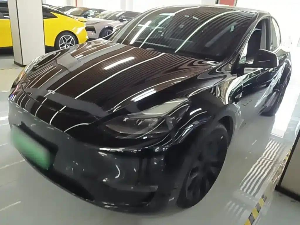 Model Y 2021 Standard Range Rear-Wheel Drive — миниатюра 1