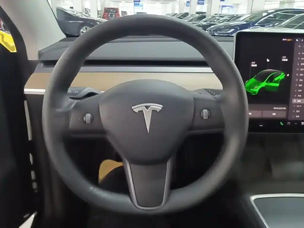 Model Y 2021 Standard Range Rear-Wheel Drive — миниатюра 11