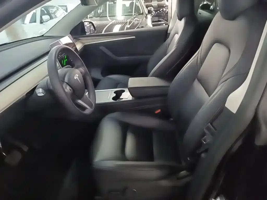 Model Y 2021 Standard Range Rear-Wheel Drive — миниатюра 15