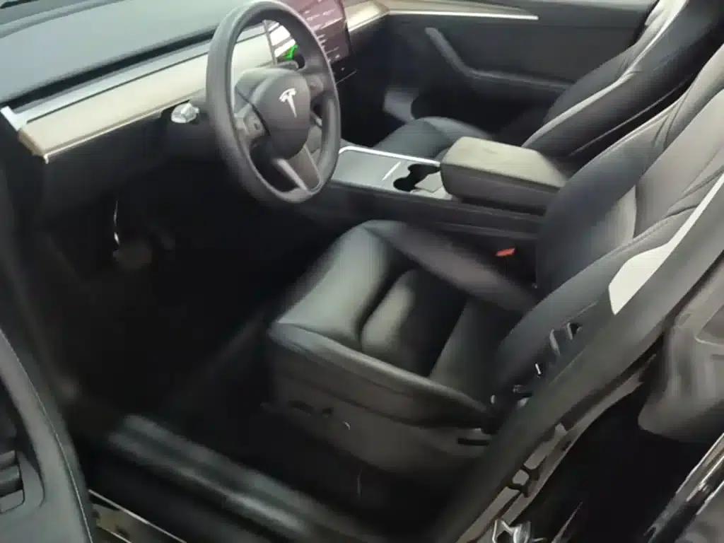 Model Y 2021 Standard Range Rear-Wheel Drive — миниатюра 16