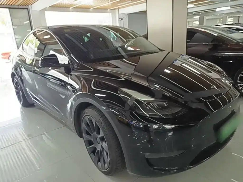 Model Y 2021 Standard Range Rear-Wheel Drive — миниатюра 4