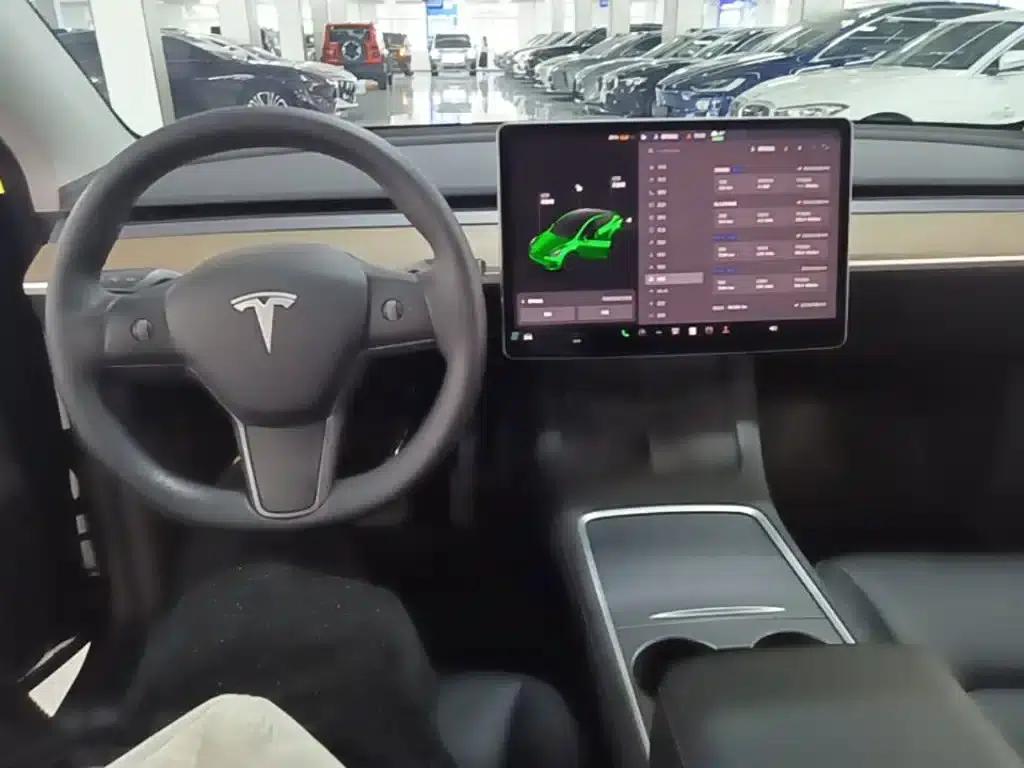 Model Y 2021 Standard Range Rear-Wheel Drive — миниатюра 10