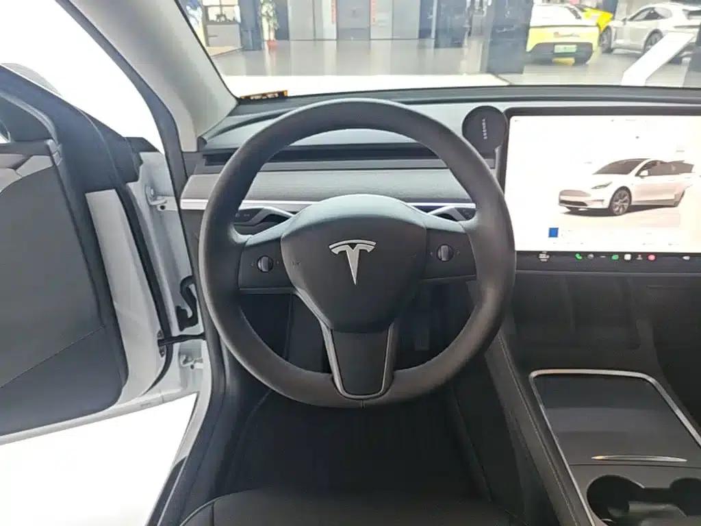 Model Y 2023 Rear-Wheel Drive — миниатюра 11