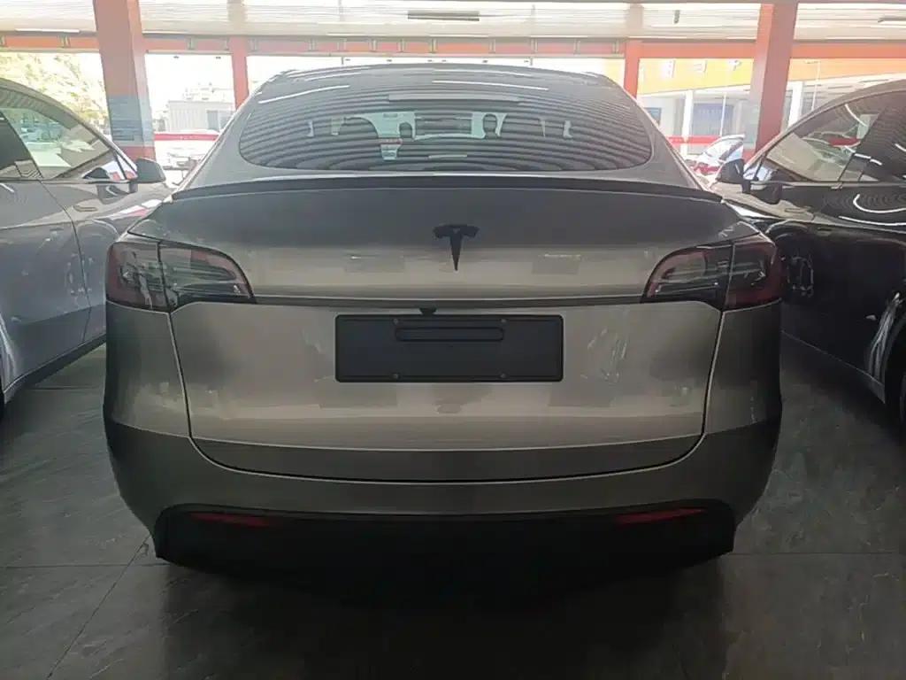 Model Y 2024 Rear-Wheel Drive — миниатюра 6