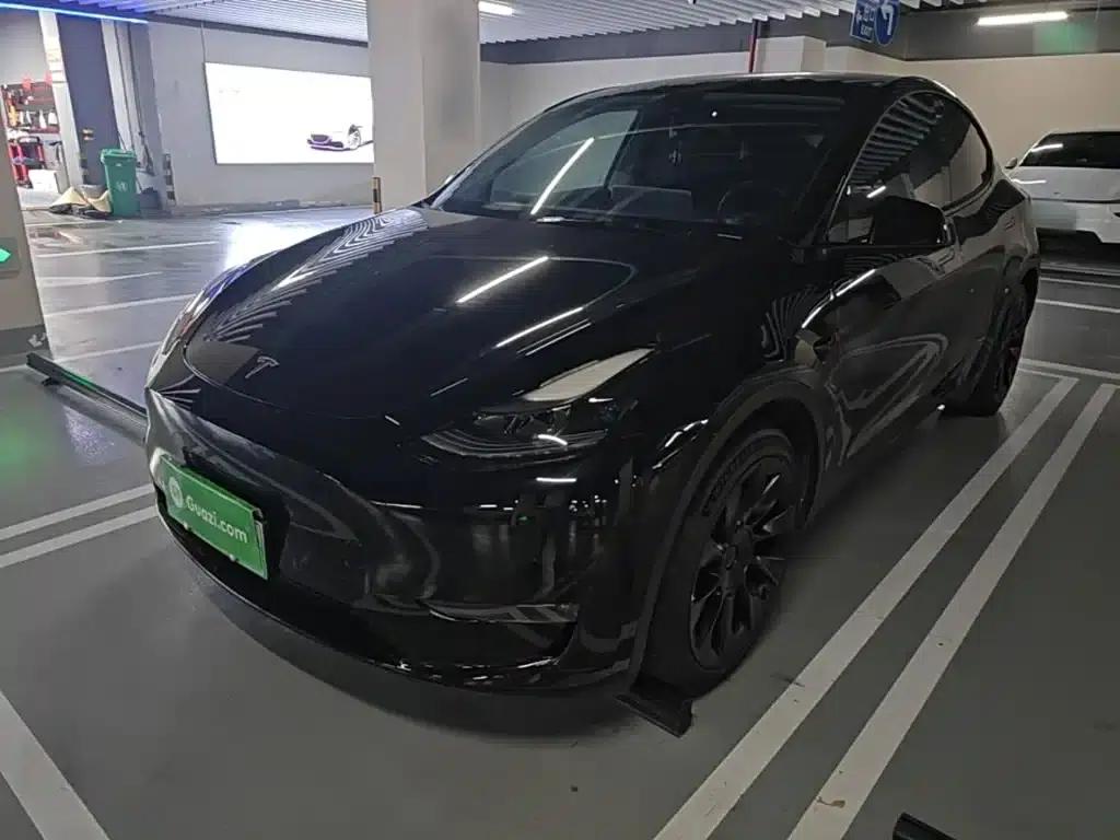 Model Y 2021 Standard Range Rear-Wheel Drive — миниатюра 1
