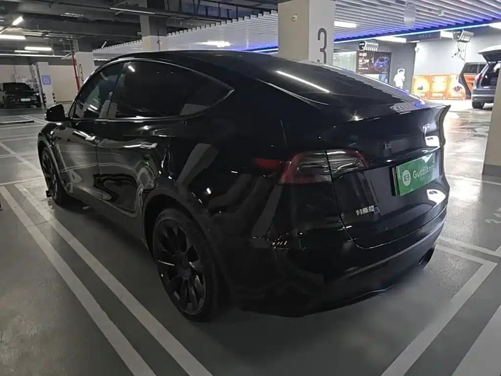 Model Y 2021 Standard Range Rear-Wheel Drive — миниатюра 5