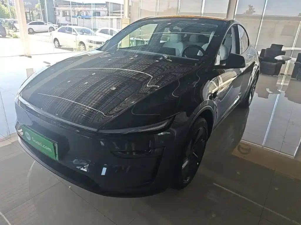 Model Y 2025 Long Range All-Wheel Drive First Edition — миниатюра 2