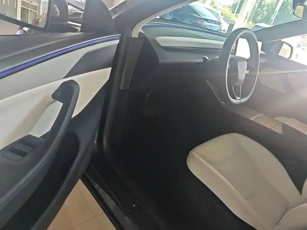 Model Y 2025 Long Range All-Wheel Drive First Edition — миниатюра 16