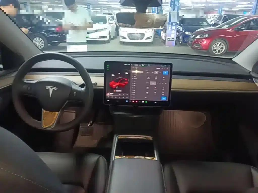 Model Y 2022 Rear-Wheel Drive — миниатюра 10