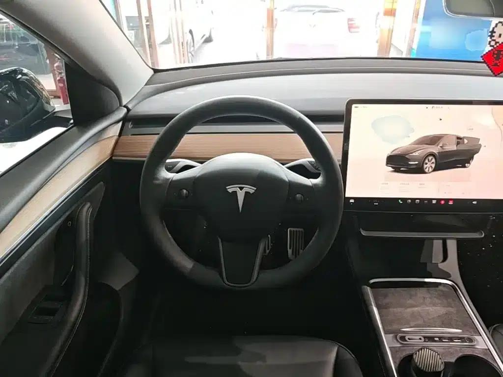 Model Y 2023 Long Range All-Wheel Drive — миниатюра 11
