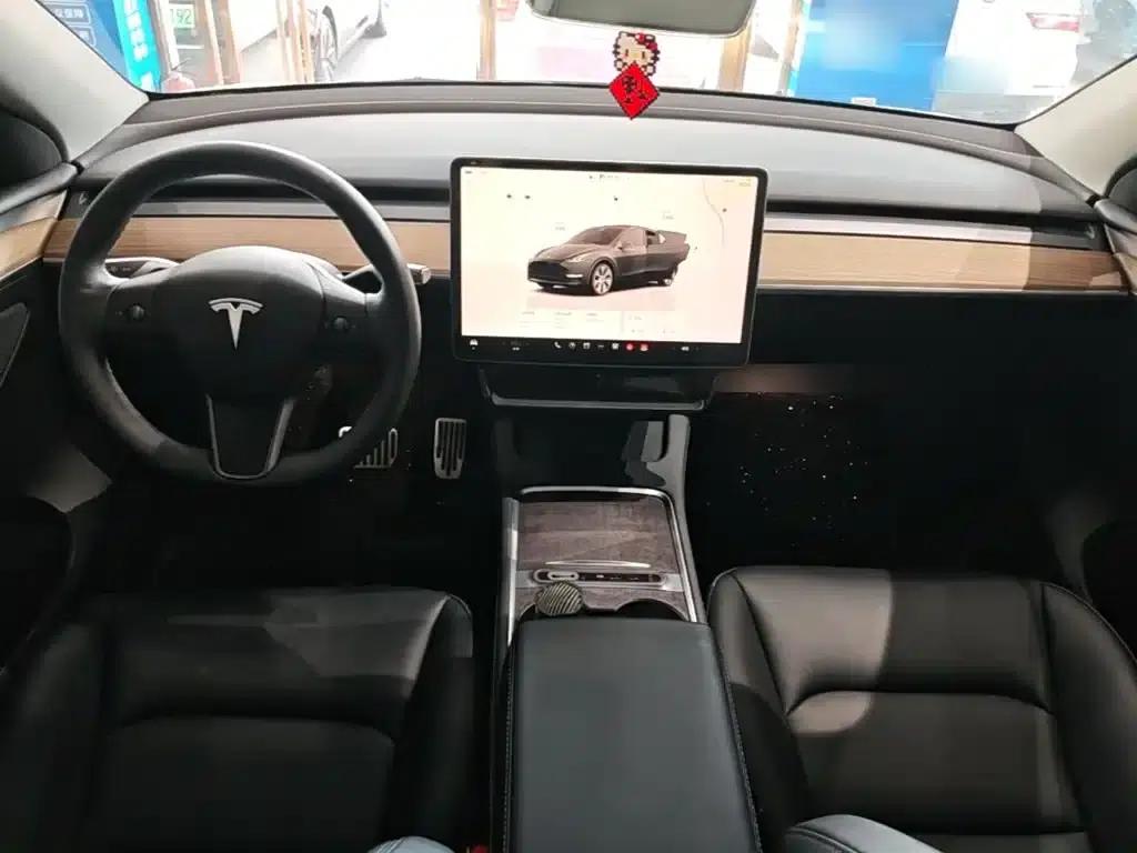 Model Y 2023 Long Range All-Wheel Drive — миниатюра 10