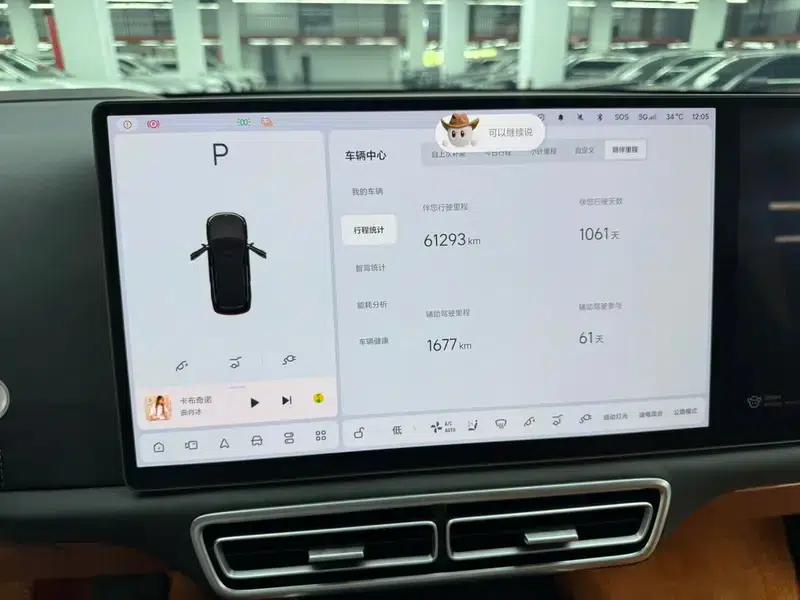 Li Auto L9 2022 Max Edition — миниатюра 9