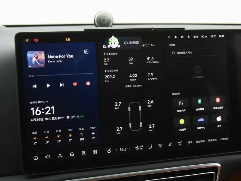 Li Auto L9 2022 Max Edition — миниатюра 9