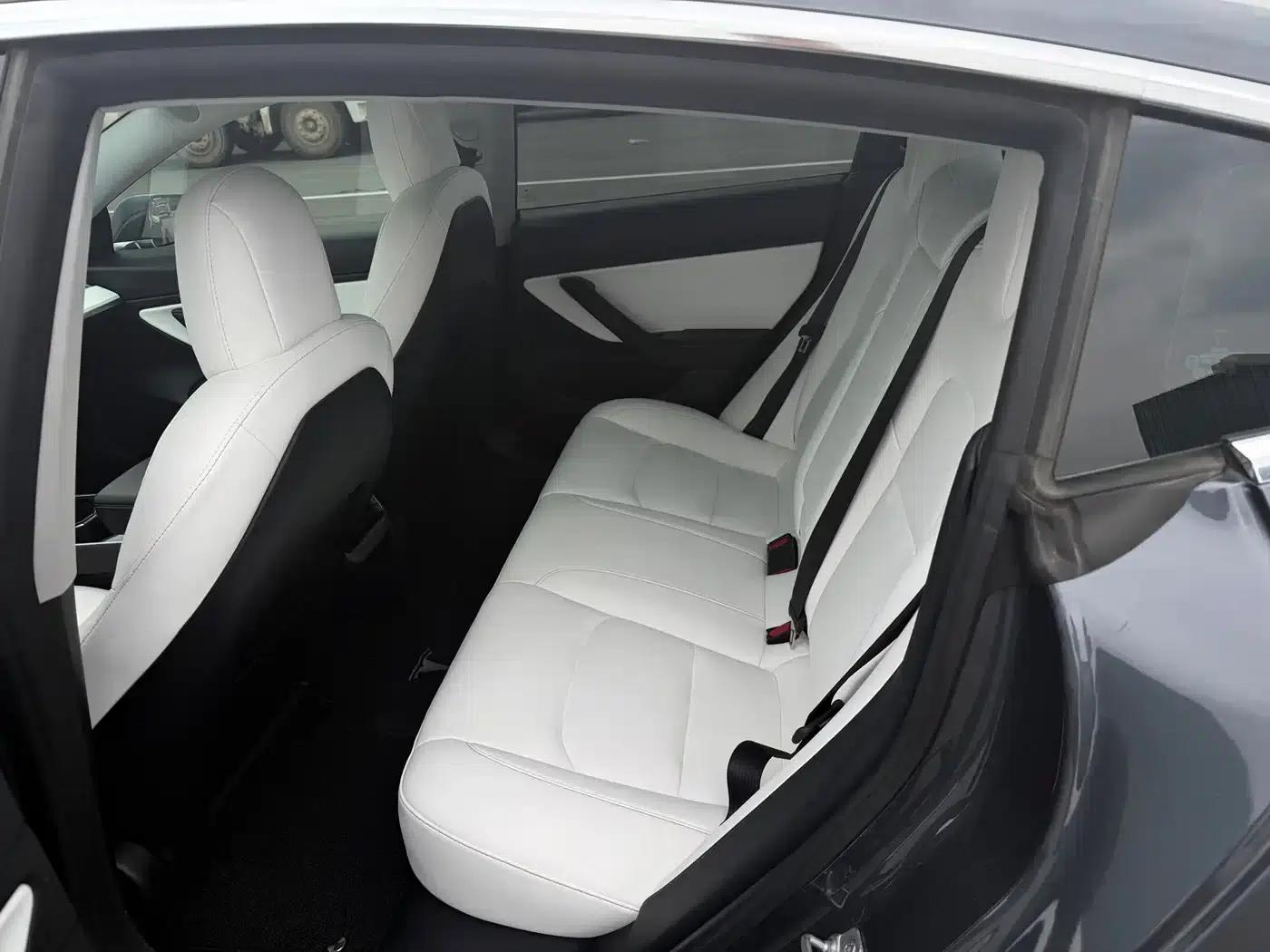 Model 3 2020 Facelift Standard Range Rear-Wheel Drive Upgrade — миниатюра 7