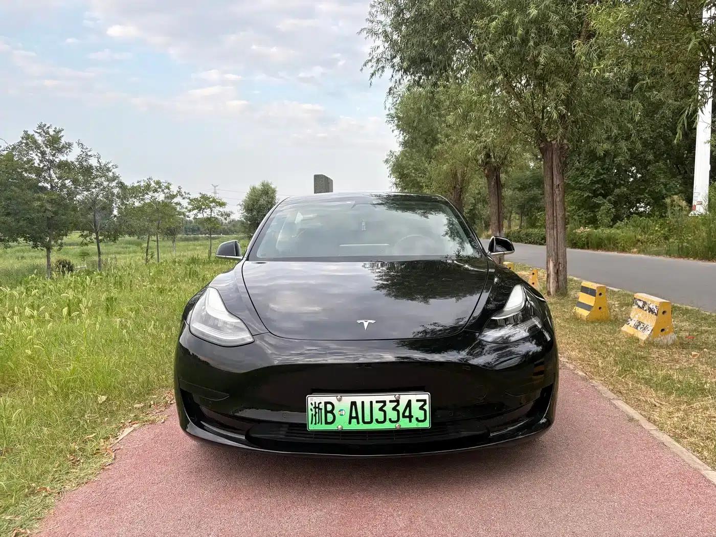 Model 3 2019 Standard Range Rear-Wheel Drive Upgrade — миниатюра 2