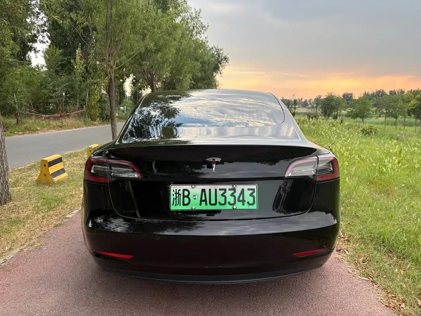 Model 3 2019 Standard Range Rear-Wheel Drive Upgrade — миниатюра 8