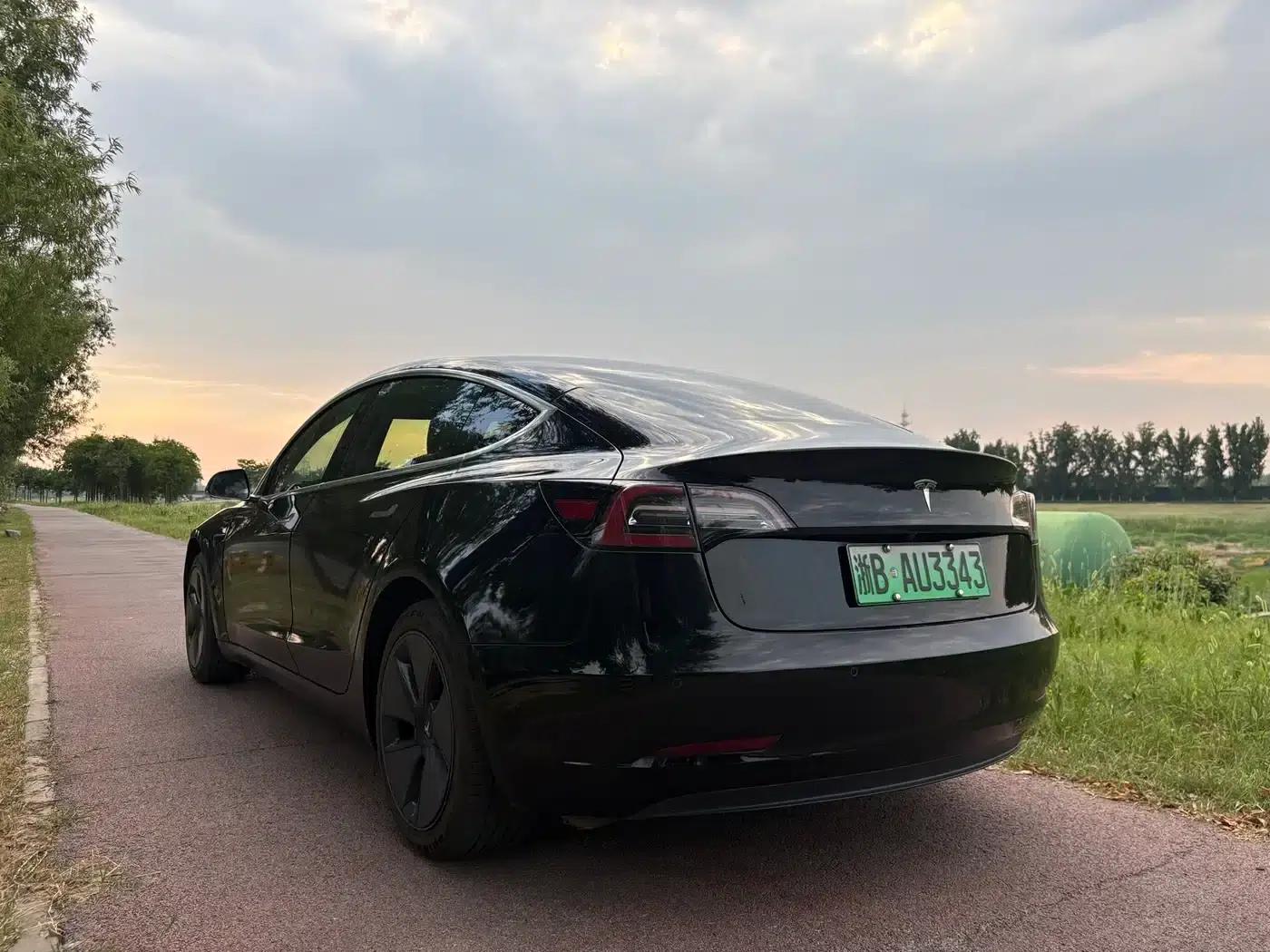 Model 3 2019 Standard Range Rear-Wheel Drive Upgrade — миниатюра 9