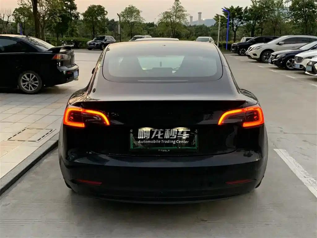 Model 3 2021 Standard Range Rear-Wheel Drive Upgrade — миниатюра 7
