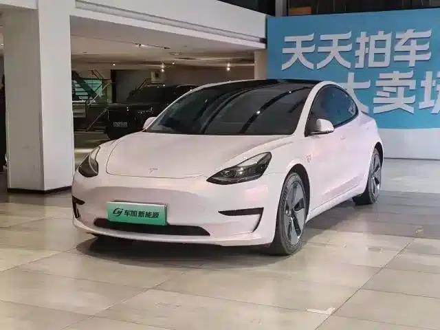 Model 3 2021 Standard Range Rear-Wheel Drive Upgrade 3D6 — миниатюра 1