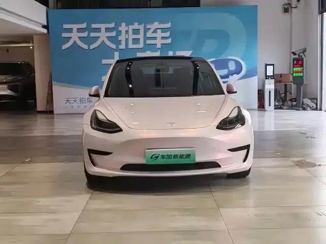 Model 3 2021 Standard Range Rear-Wheel Drive Upgrade 3D6 — миниатюра 2