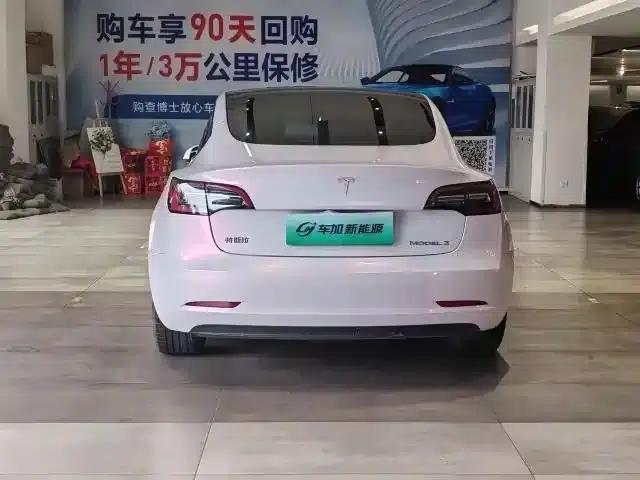Model 3 2021 Standard Range Rear-Wheel Drive Upgrade 3D6 — миниатюра 7
