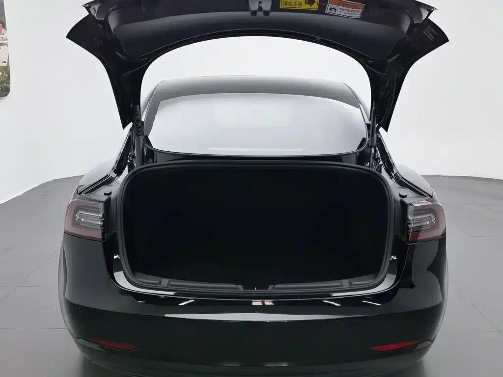 Model 3 2021 Standard Range Rear-Wheel Drive Upgrade — миниатюра 16