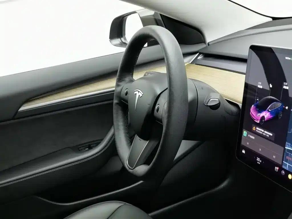 Model 3 2021 Standard Range Rear-Wheel Drive Upgrade — миниатюра 22