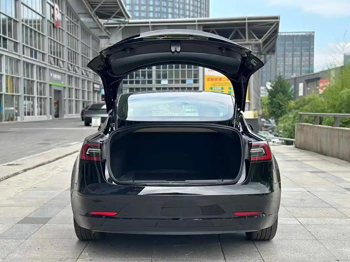 Model 3 2022 Rear-Wheel Drive — миниатюра 7