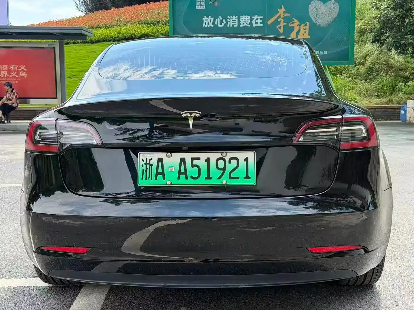 Model 3 2019 Standard Range Rear-Wheel Drive Upgrade — миниатюра 5