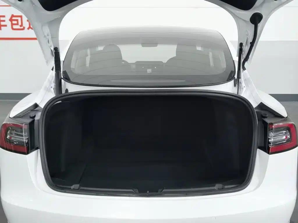Model 3 2021 Standard Range Rear-Wheel Drive Upgrade — миниатюра 16