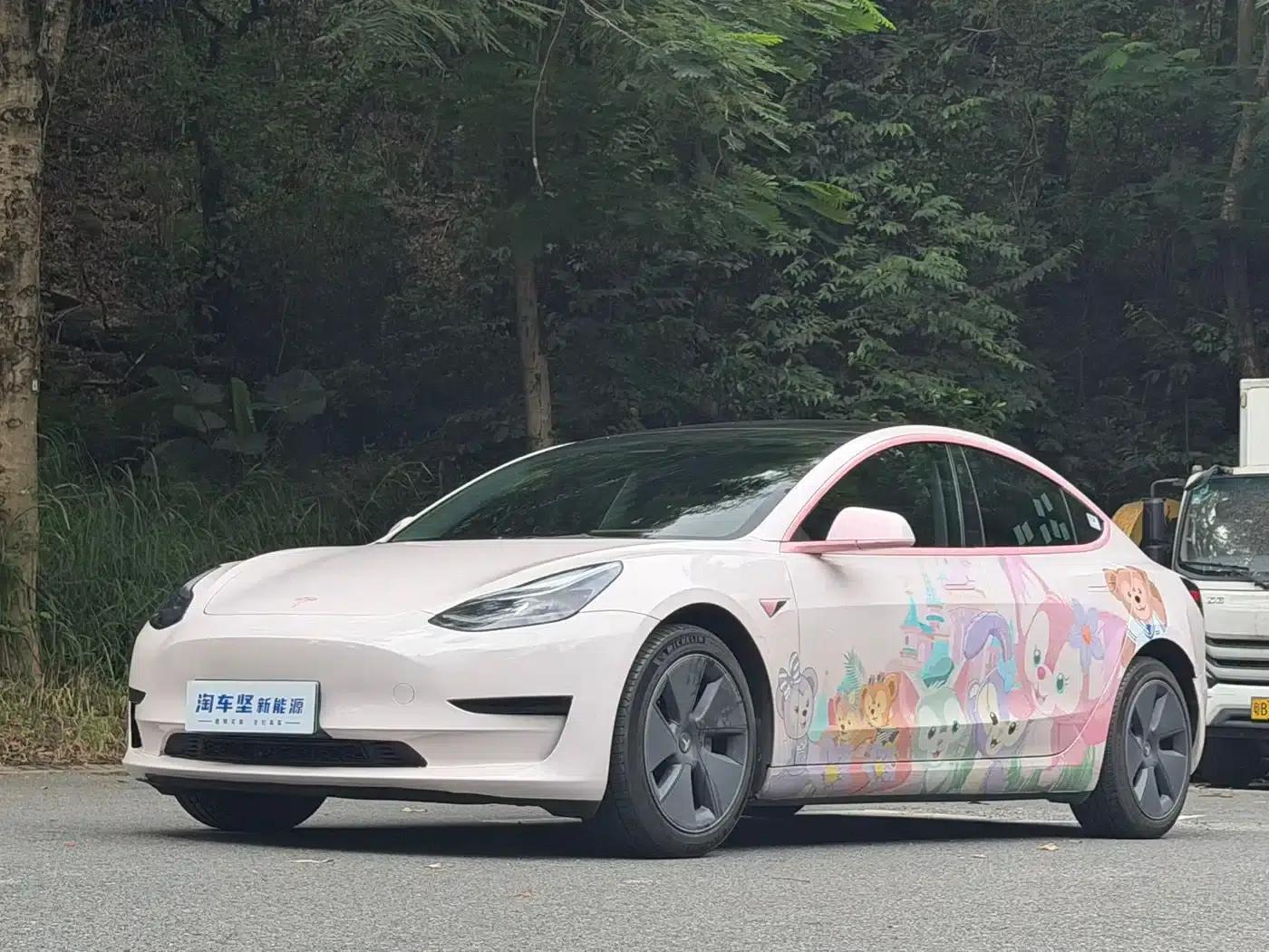 Model 3 2022 Rear-Wheel Drive — миниатюра 1