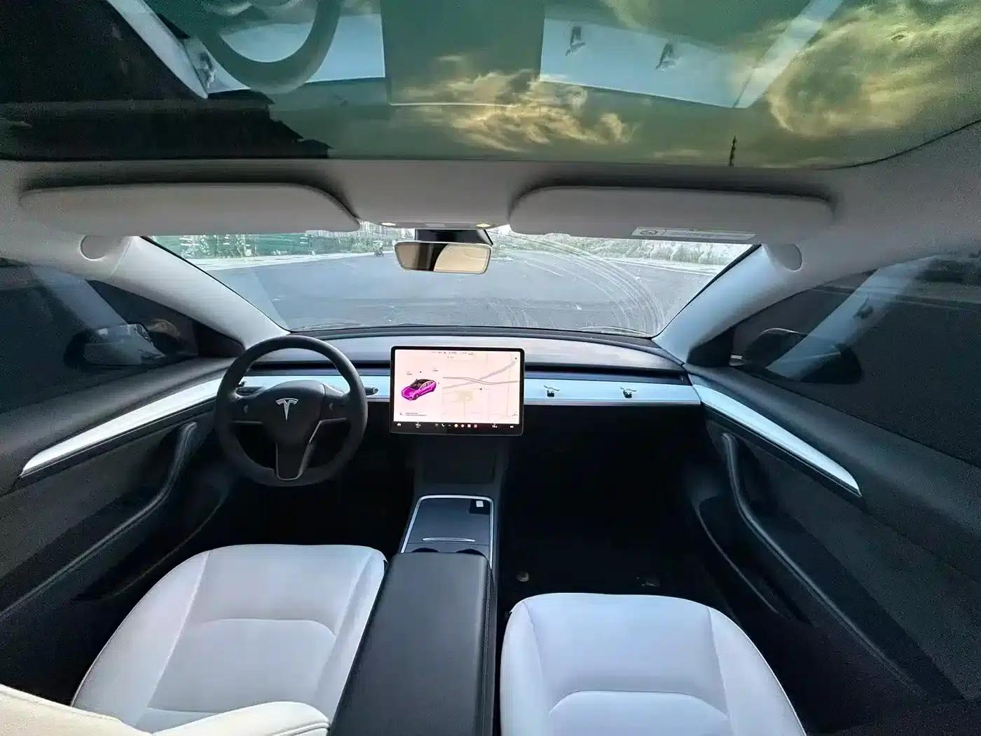 Model 3 2021 Standard Range Rear-Wheel Drive Upgrade — миниатюра 9