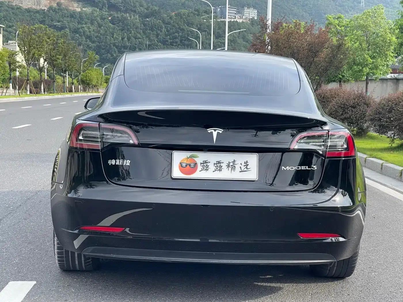 Model 3 2020 Standard Range Rear-Wheel Drive Upgrade — миниатюра 11