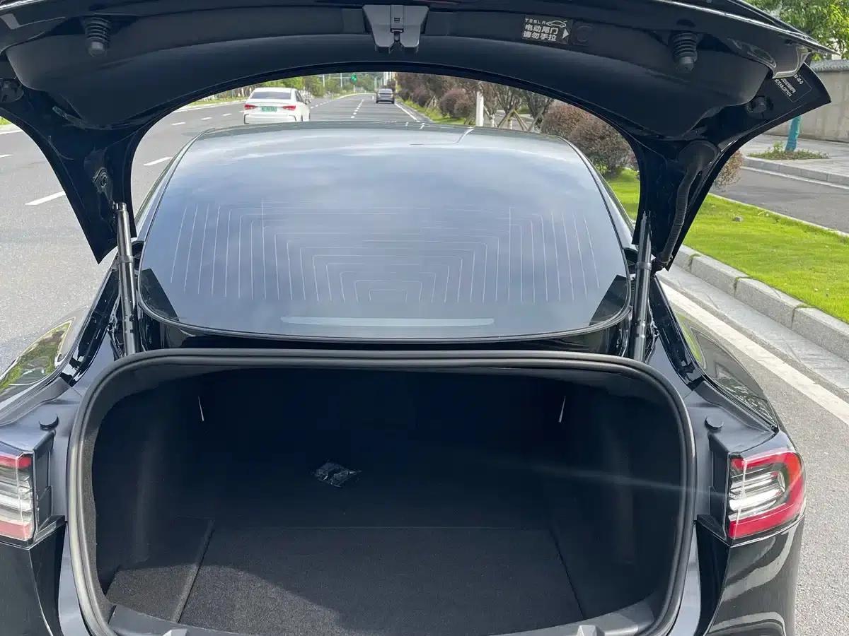 Model 3 2020 Standard Range Rear-Wheel Drive Upgrade — миниатюра 15