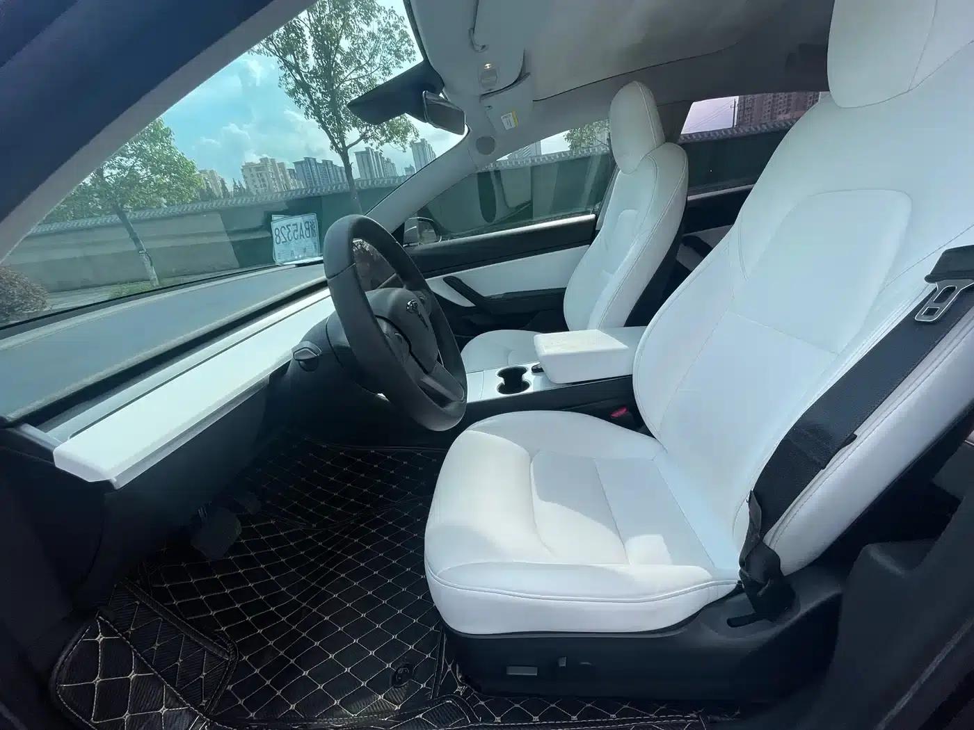 Model 3 2020 Standard Range Rear-Wheel Drive Upgrade — миниатюра 6