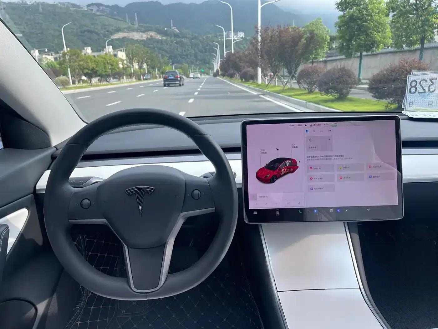 Model 3 2020 Standard Range Rear-Wheel Drive Upgrade — миниатюра 10