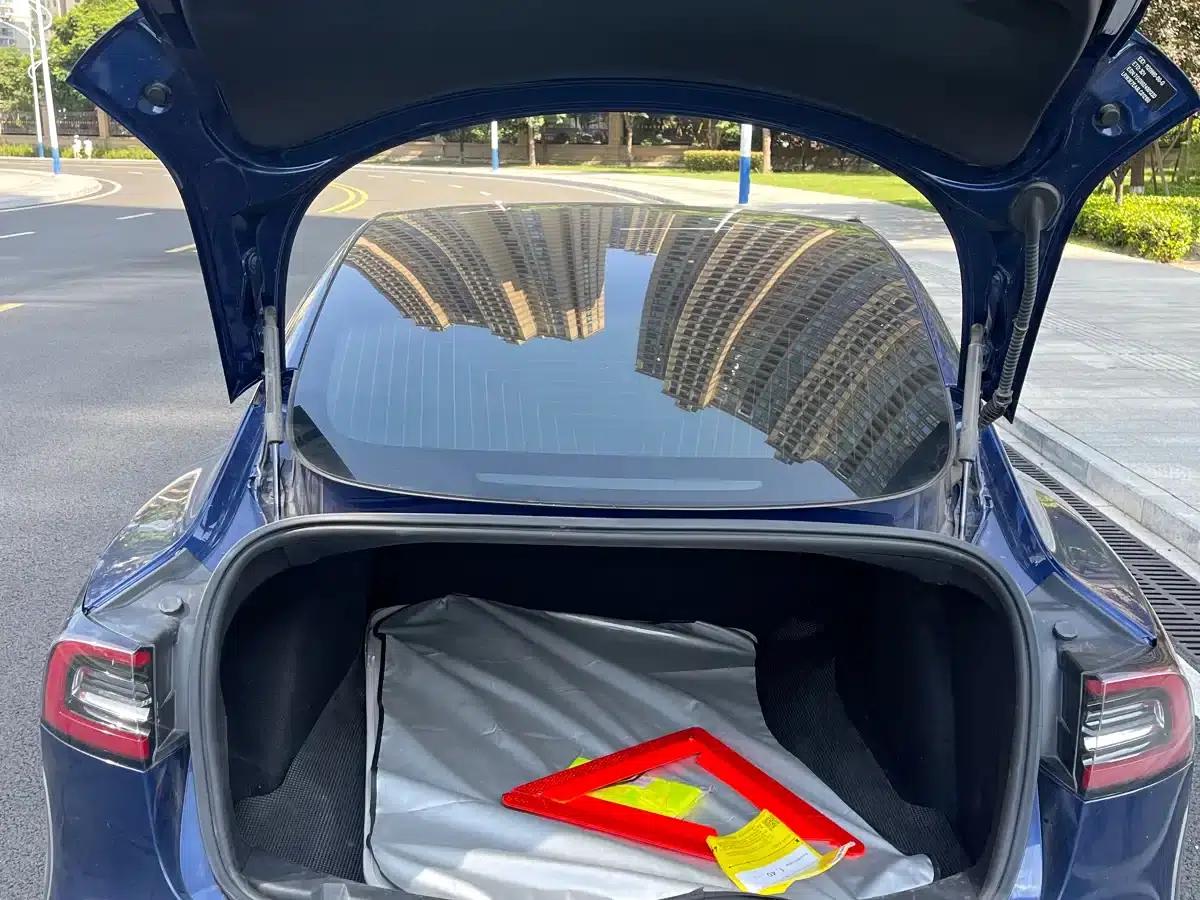 Model 3 2020 Standard Range Rear-Wheel Drive Upgrade — миниатюра 14