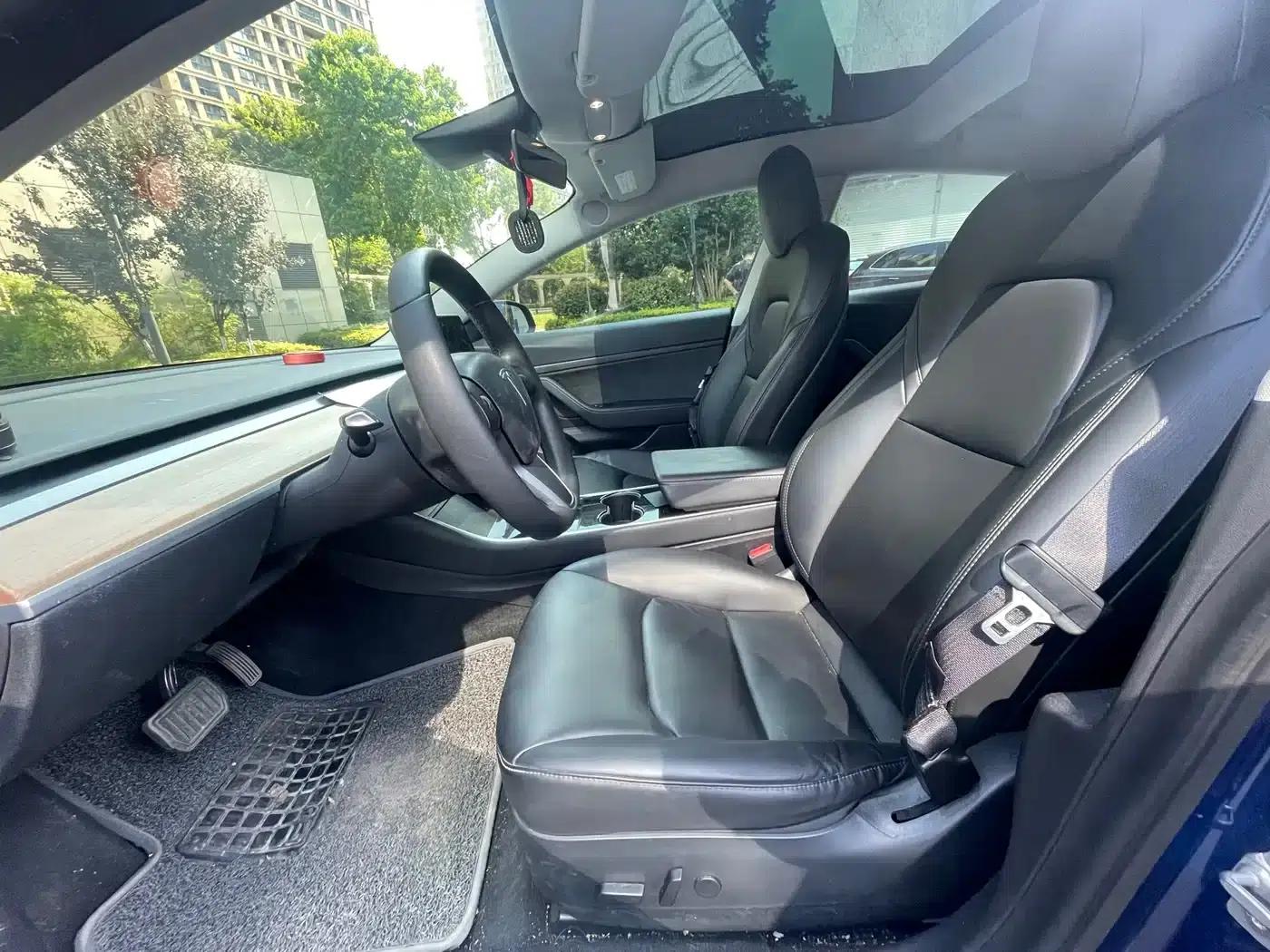Model 3 2020 Standard Range Rear-Wheel Drive Upgrade — миниатюра 6