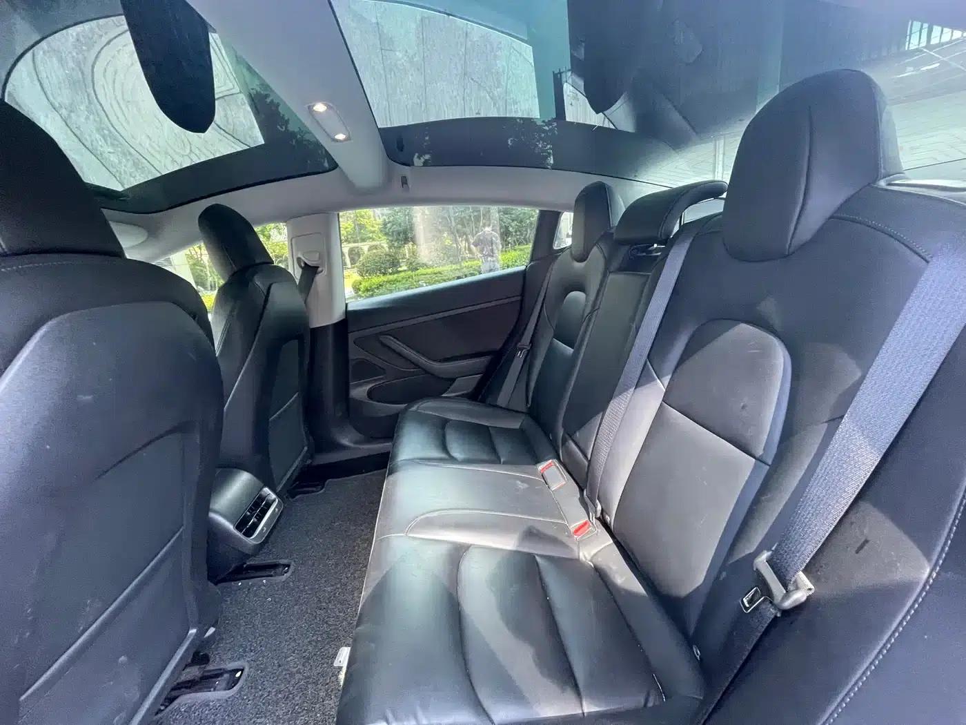 Model 3 2020 Standard Range Rear-Wheel Drive Upgrade — миниатюра 7