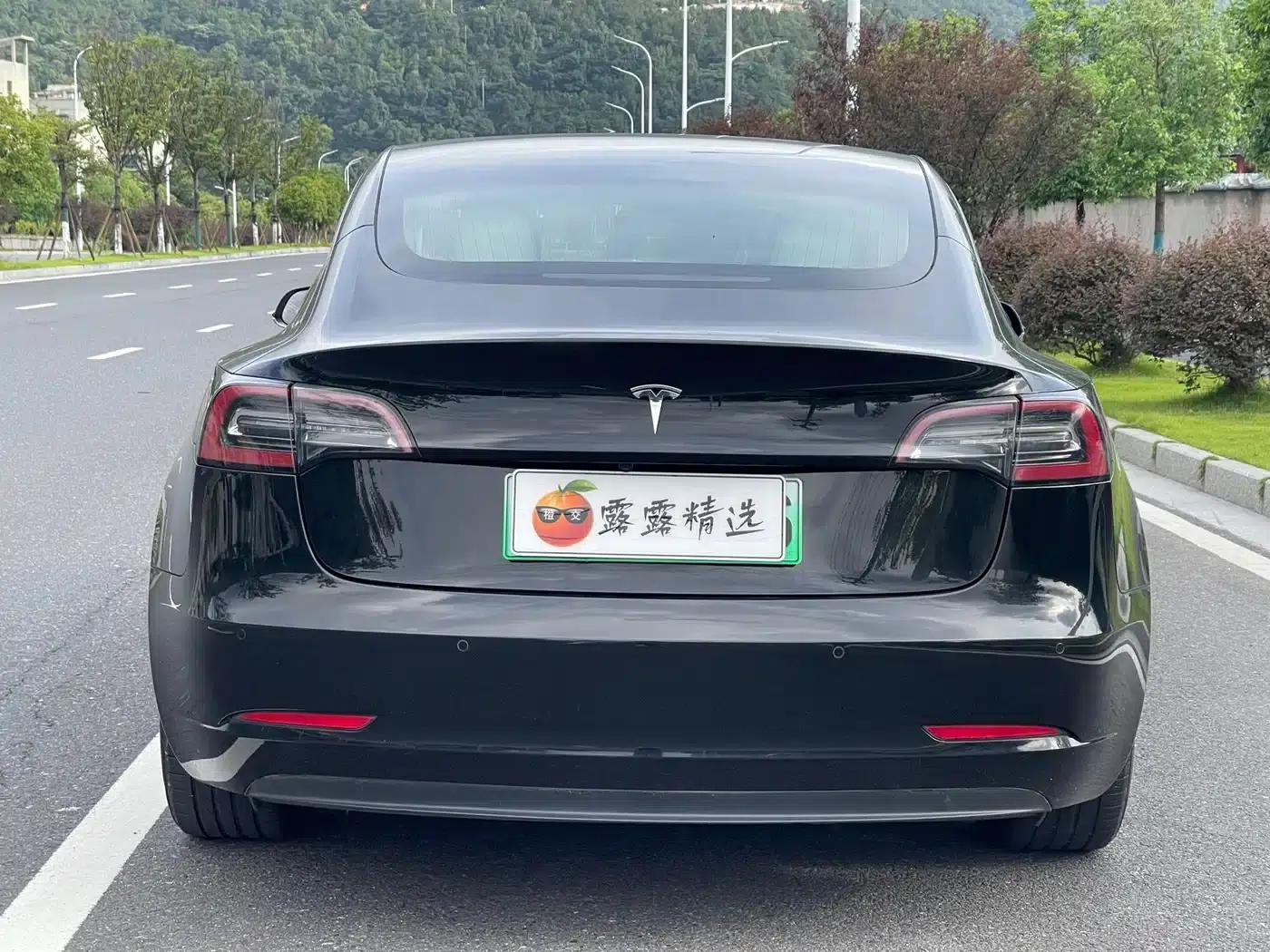Model 3 2020 Standard Range Rear-Wheel Drive Upgrade — миниатюра 12