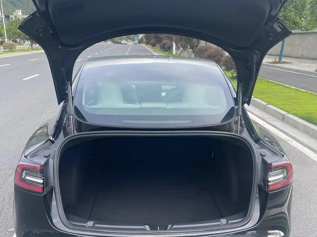 Model 3 2020 Standard Range Rear-Wheel Drive Upgrade — миниатюра 14