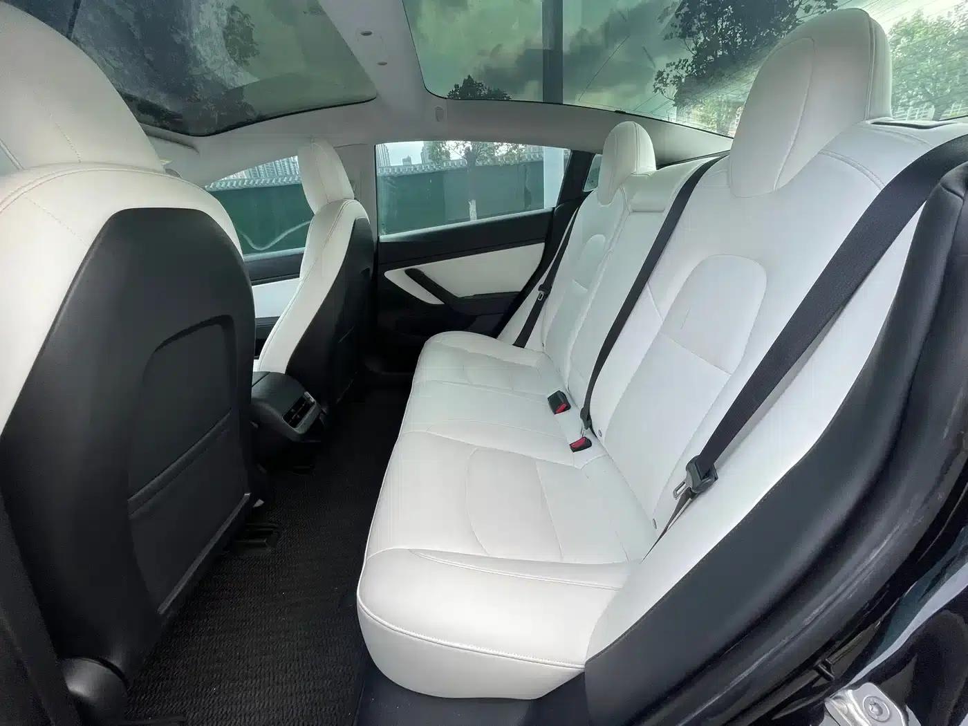 Model 3 2020 Standard Range Rear-Wheel Drive Upgrade — миниатюра 7